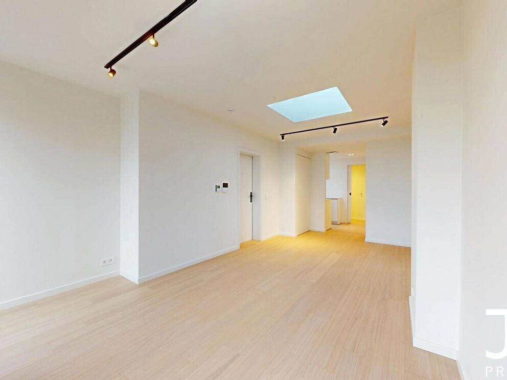 Appartement &agrave; louer &agrave; Ixelles